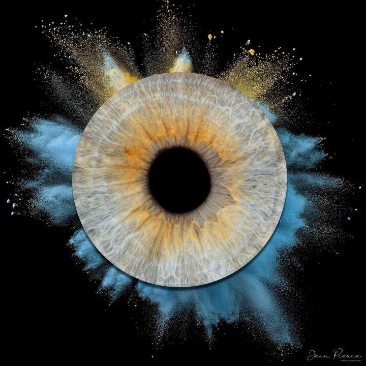 Portrait iris, Lempdes