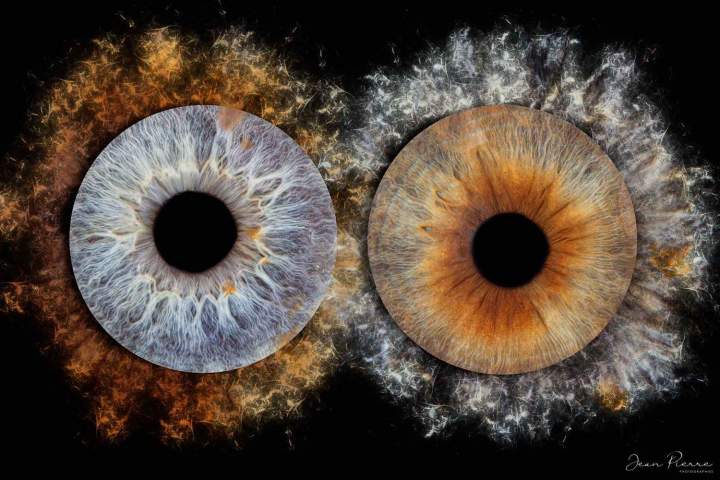 Photographie pour capturer l'unicité de l'iris