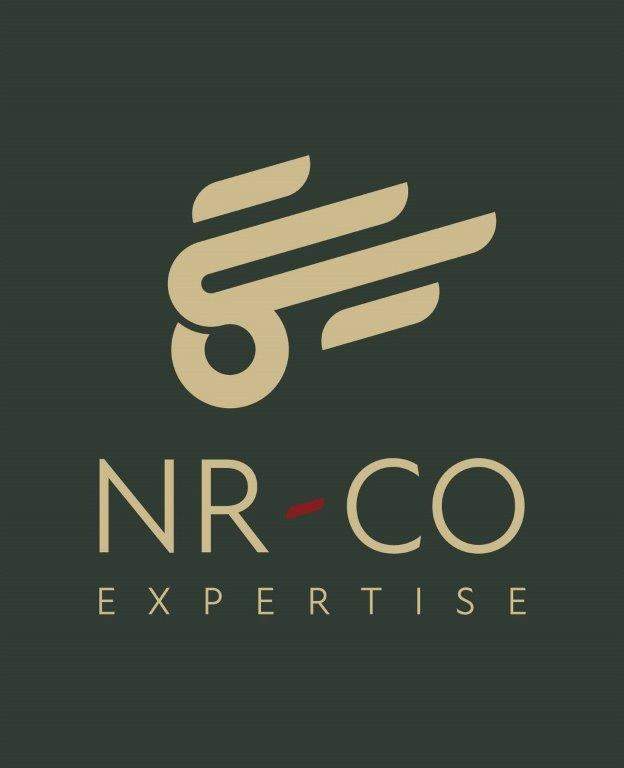 Logo NR CO Expertise