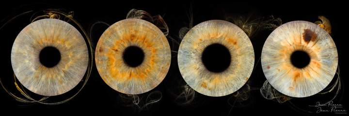 Portrait d'iris Jean Pierre Giraud Photographies (25)